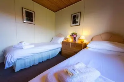 a bedroom with two beds and a dresser with flowers at 2 bedroom lodge with stunning loch mountain views in Crianlarich