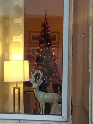 a christmas tree and a reindeer in a window at St Annes Guest House in Oban