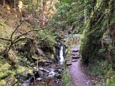 a stream in a forest with a waterfall at The Wee Ludging - A Cosy Riverside Cottage for Two in Dunoon