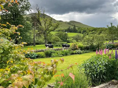 two cows in a garden with flowers and trees at River View Knockraich Farm in Fintry