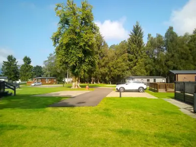 a car parked in a park with a tree at Callander Woods Holiday Park in Callander