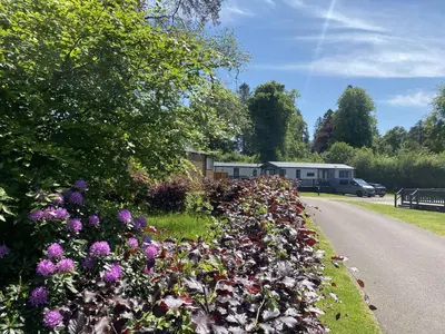 a row of flowers on the side of a road at Callander Woods Holiday Park in Callander