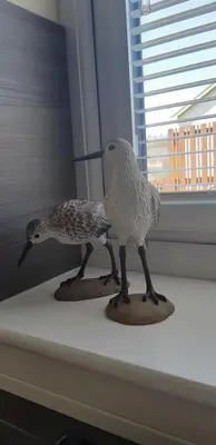 two birds sitting on a window sill at Ritchie selfcatering in Callander