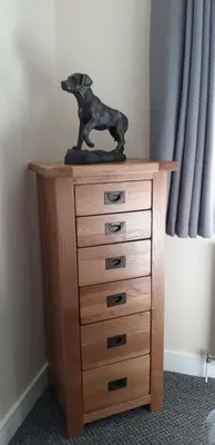 a statue of a dog sitting on top of a dresser at Ritchie selfcatering in Callander