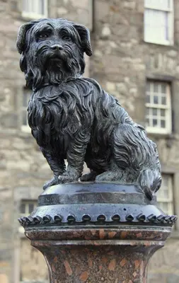a statue of a dog sitting on top of a pedestal at Hapimag Resort Edinburgh in Edinburgh