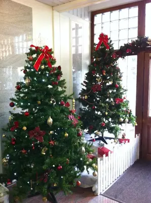 two christmas trees are decorated in a room at King Robert Hotel in Stirling