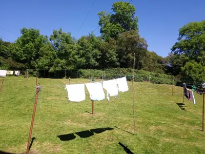 a group of nets in a field at Homestay, Number 29, Dunollie in Oban