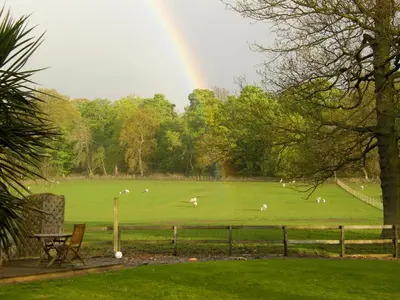 a group of animals grazing in a field with a rainbow at Arden Country House in Linlithgow