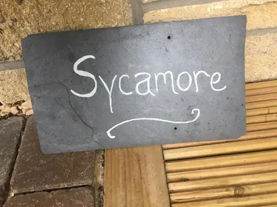 a sign with the word syndrome written on it at Rosemount Boutique B&B in Lanark
