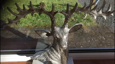 a statue of a reindeer head in front of a window at Pippin, Tranquil Scottish Cottage with Hot Tub in Airdrie