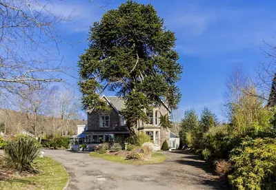 a large tree in front of a house at The Abbotsford in Callander