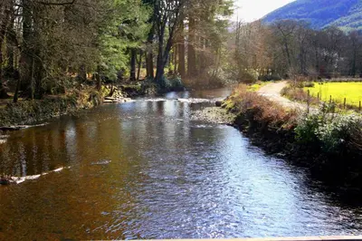 a stream of water with trees and a road at Cedar Cottage in Dunoon