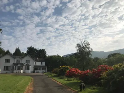 a house with a horse standing on the side of a road at Woodside Logcabin Ardoch Lodge in Strathyre