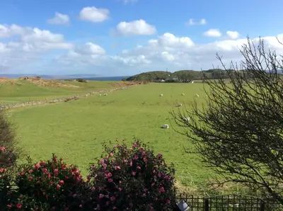 a large green field with sheep grazing in it at Ashbank Hotel in Carradale