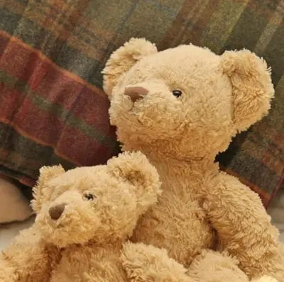 two brown teddy bears sitting on a couch at Gowanlea Guest House in Balloch