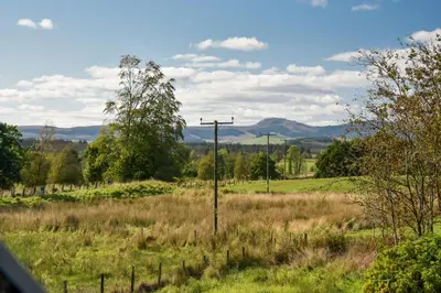a field with a telephone pole in the grass at Cardross Holiday Cottages in Arnprior