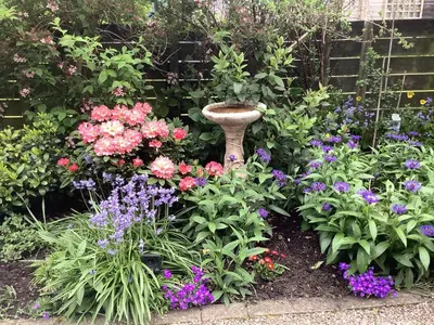 a garden of flowers with a bird bath in the middle at The Garden Flat in Crieff