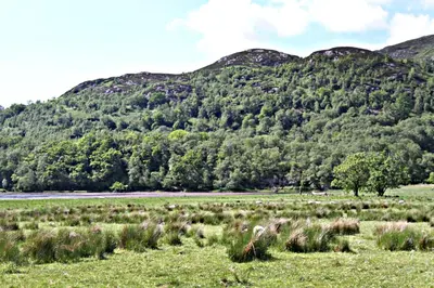 a field of grass with a mountain in the background at Stob Binnein Cottage in Crianlarich