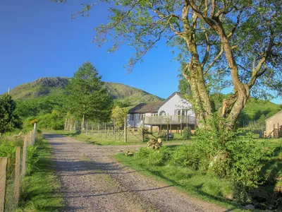 a dirt road with a house and a tree at Invernoe Cottage in Taynuilt