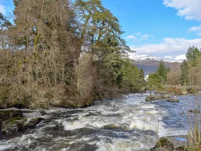 a river with rapids and trees on the side at Anemone in Kenmore