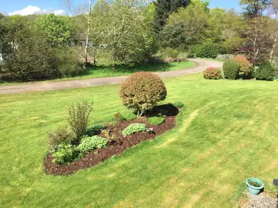 a garden with a tree and flowers in a yard at Coel Ila in Benderloch