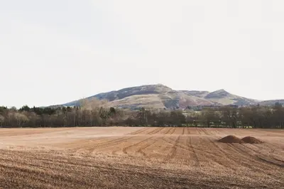 a field with a mountain in the background at Atlas Ovation Lodge in Auchterarder