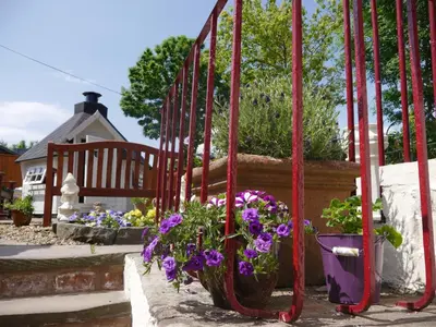 a bunch of purple flowers on a stairway at Cameron Cottage in Inverkip