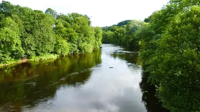 a river with trees on both sides of it at Riverside Apartments in Carluke