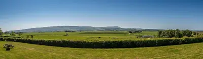 a green field with a bench in the middle of it at Mains Farm in Stirling
