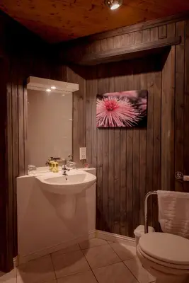 a bathroom with a sink and a toilet at Craigard House Hotel in Campbeltown