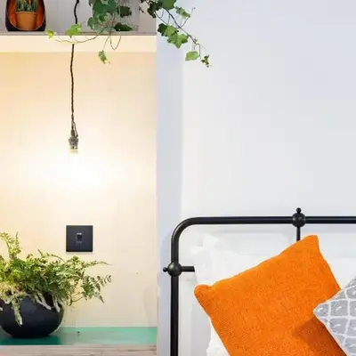 The Plywood Flat