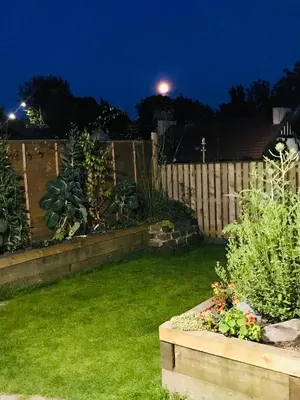 a backyard at night with a fence and some plants at A Wee Cottage In Dunfermline in Dunfermline