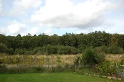 a field of grass with trees in the background at Mountain View in Taynuilt