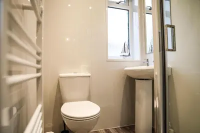 a bathroom with a toilet and a sink and a window at Baron View Apartment in Paisley