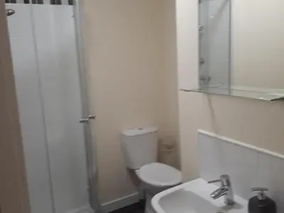 a bathroom with a shower and a toilet and a sink at Stonefield Rooms in High Blantyre