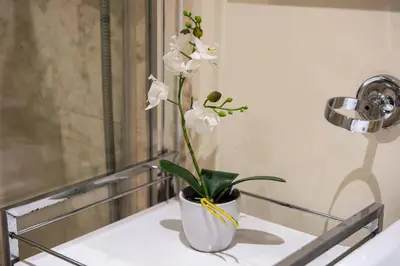 a white plant in a white vase on a table at JOIVY Amazing Location! Lovely Rose St Apt in New Town in Edinburgh