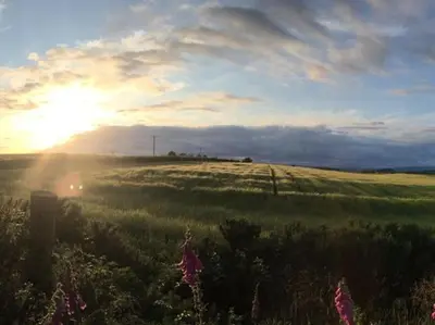 a field of grass with the sun setting in the background at Carr's Hill Luxury Safari Tents in Denny
