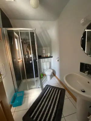 a bathroom with a shower and a toilet and a sink at Shenavallie Farm in Benderloch