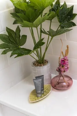 a bathroom counter with a plant and a candle at Charming, Central & Spacious Georgian 3 bed APT in Edinburgh