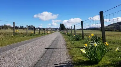a road with flowers on the side of a fence at Hawthorn Self Catering Cottages in Benderloch