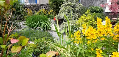 a garden with many different types of flowers at One Oban in Oban
