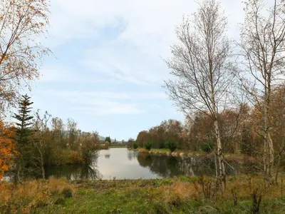 a river in the middle of a field with trees at Avonal Lodge 24 in Perth