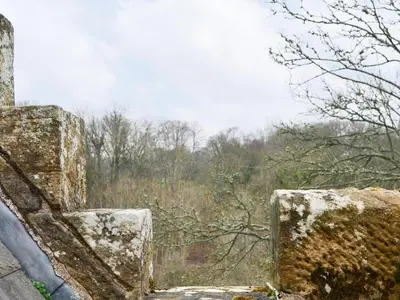 a stone wall with a view of a forest at Braidwood Castle - Uk10672 in Braidwood