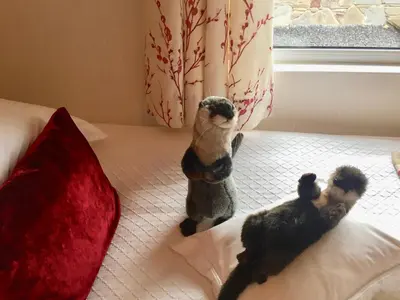 two stuffed animals sitting on a bed looking out the window at Otter Lodge Auchterarder in Auchterarder