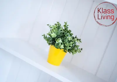 a yellow vase with a plant sitting on a shelf at Albion Apartment by Klass Living Coatbridge in Coatbridge
