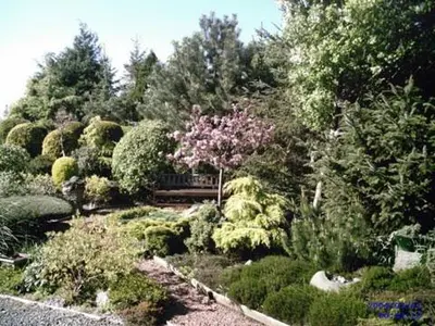 a garden filled with lots of plants and trees at Ashcroft Farmhouse in East Calder