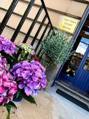 a bunch of purple flowers in front of a store at New Town Guest House (Adults Only) in Edinburgh
