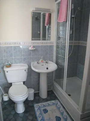 a bathroom with a toilet and a sink and a shower at Herdshill Guest House in Wishaw