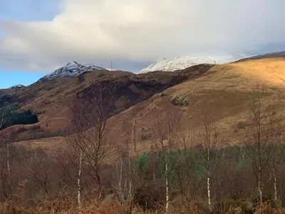 a snow covered mountain with trees in the foreground at Ben Lomond Lodge in Rowardennan