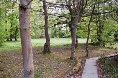 a path in a park with trees and a field at Bankton Rooms & Lodges in Livingston